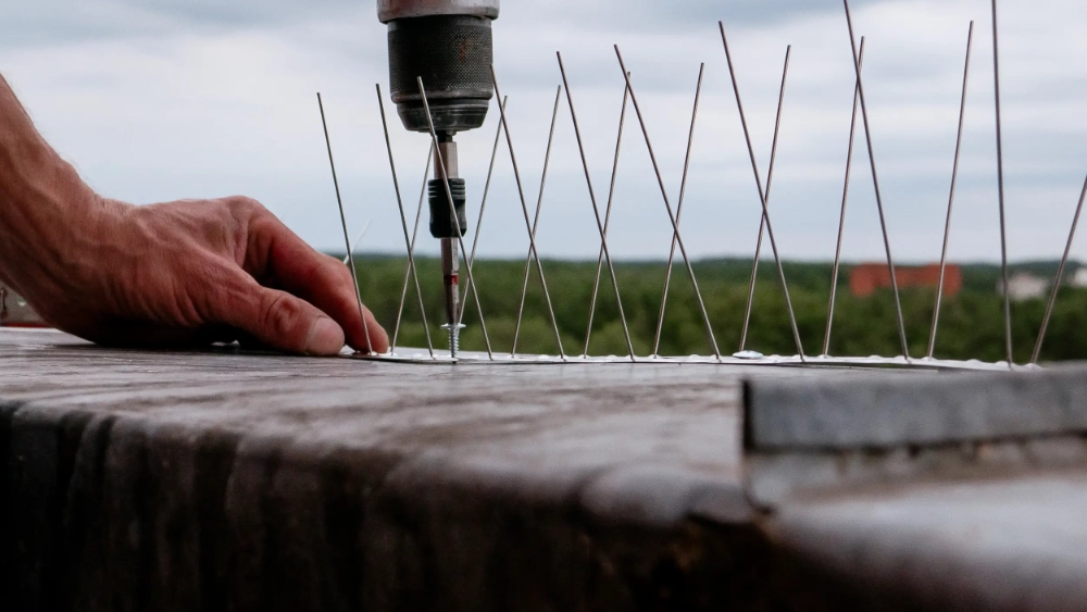 Close-up of a worker's hands installing bird deterrents