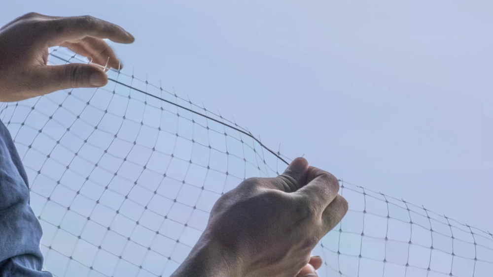 Close-up of a worker's hands installing bird netting