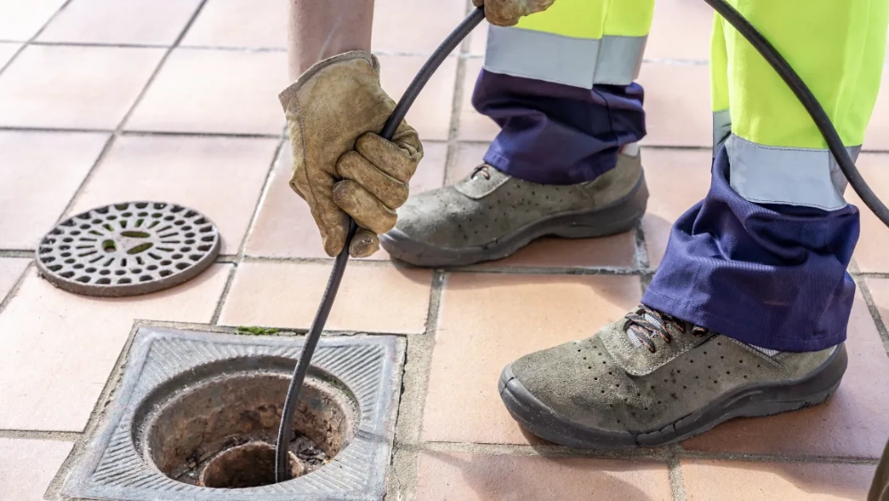 Bioremediation taking place in an outdoor drain