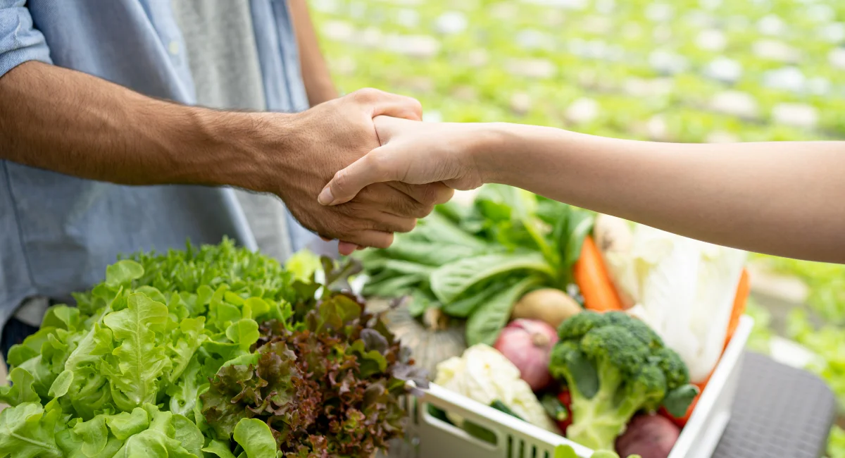 handshake made on organic veg