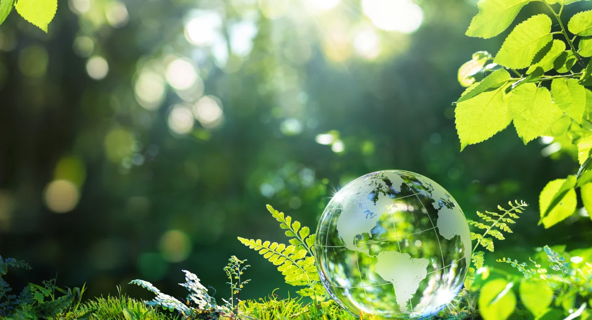 glass globe on the grass
