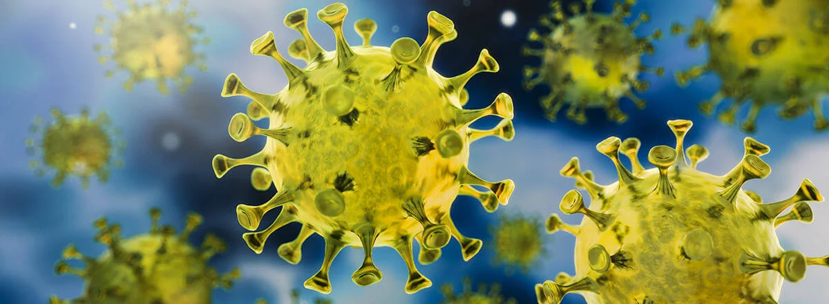 coronavirus germs