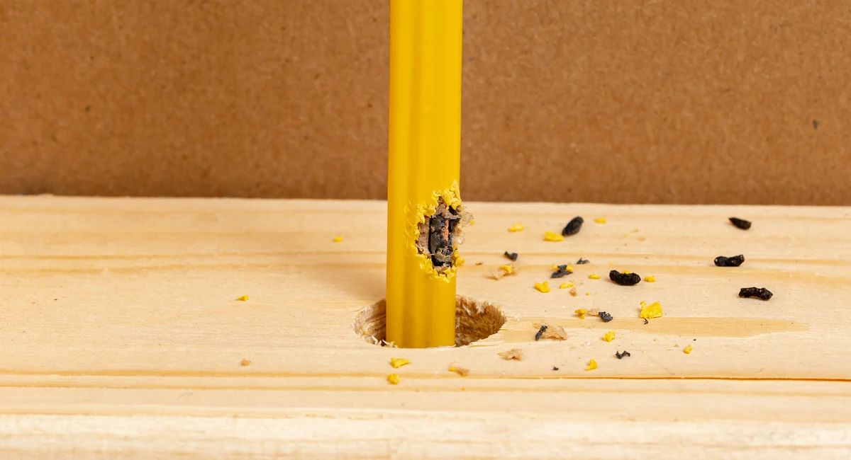 Mouse droppings 