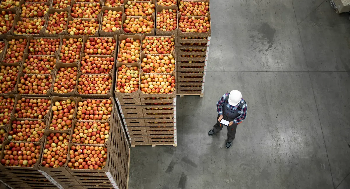 top view of crate of apples