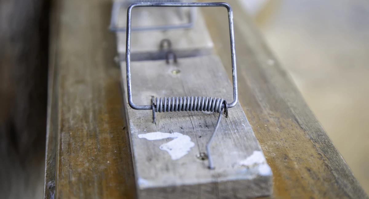 Wooden Mousetrap